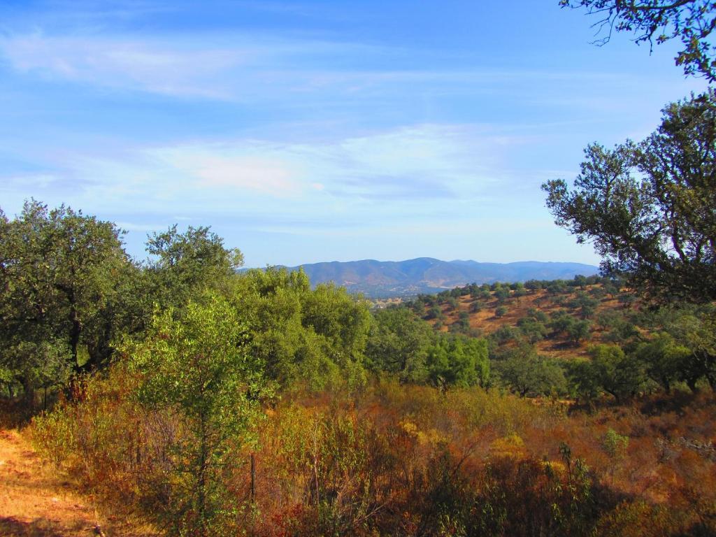 מלון ארוצ'י Complejo Rural Puerto Penas מראה חיצוני תמונה